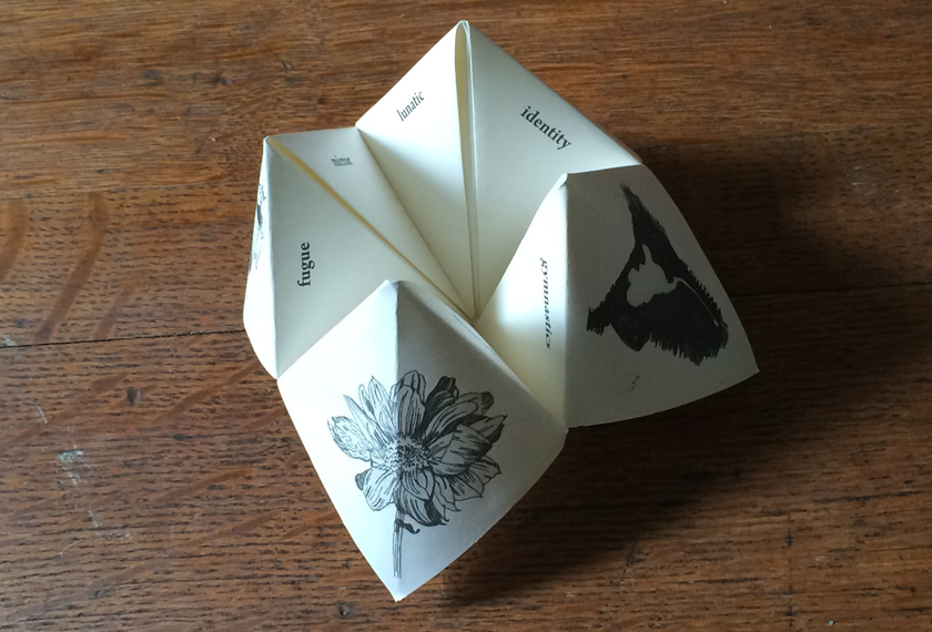 Metaphysical Dictionary Fortune teller